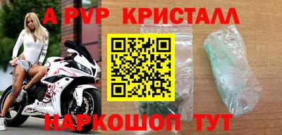 прущие грибы Нальчик