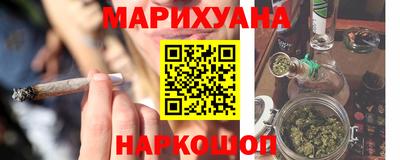 прущие грибы Нальчик