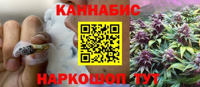 прущие грибы Нальчик
