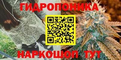 гашиш Новокубанск
