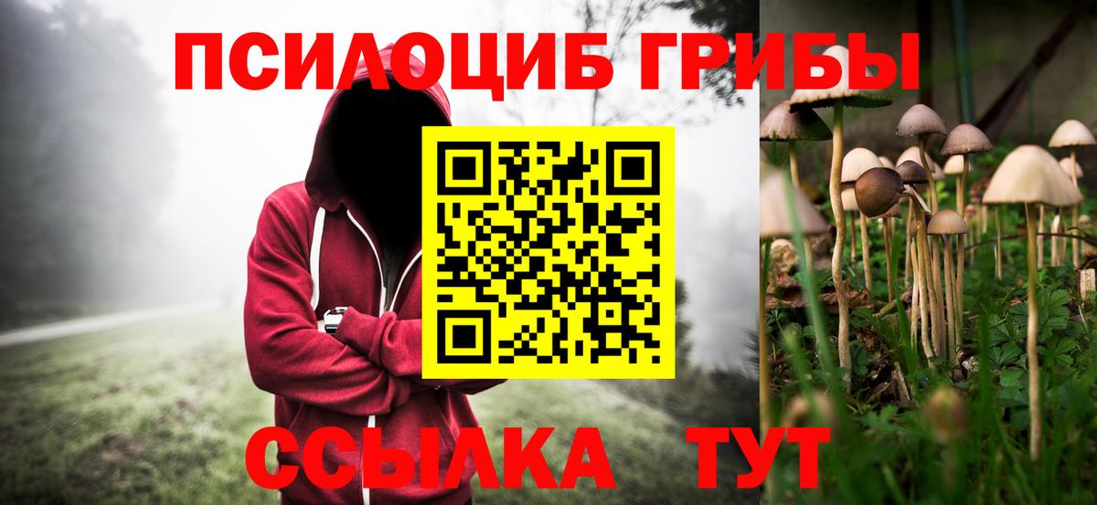 Псилоцибиновые грибы MAGIC MUSHROOMS Усолье-Сибирское